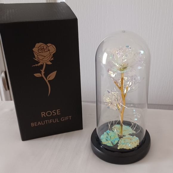 Beautiful Rose Gift - Picture 8 of 8